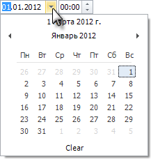 Controls_DateTime2