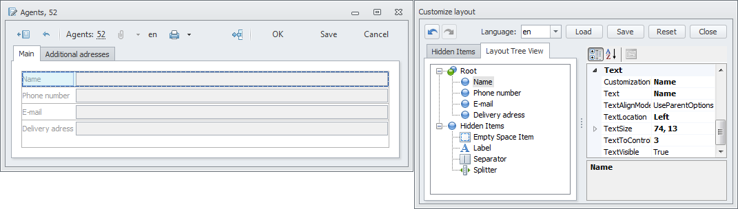 Dict_src_CustomizeForm4