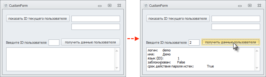 Example_CustomForm2